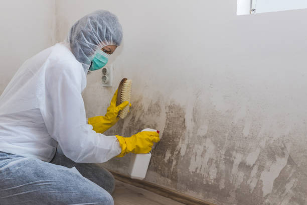 Best Crawl Space Mold Removal  in Waterloo, WI