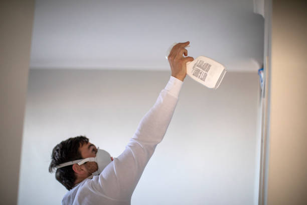 Best Mold Remediation  in Waterloo, WI