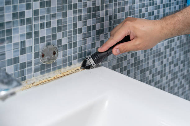 Best Mold Damage Repair  in Waterloo, WI